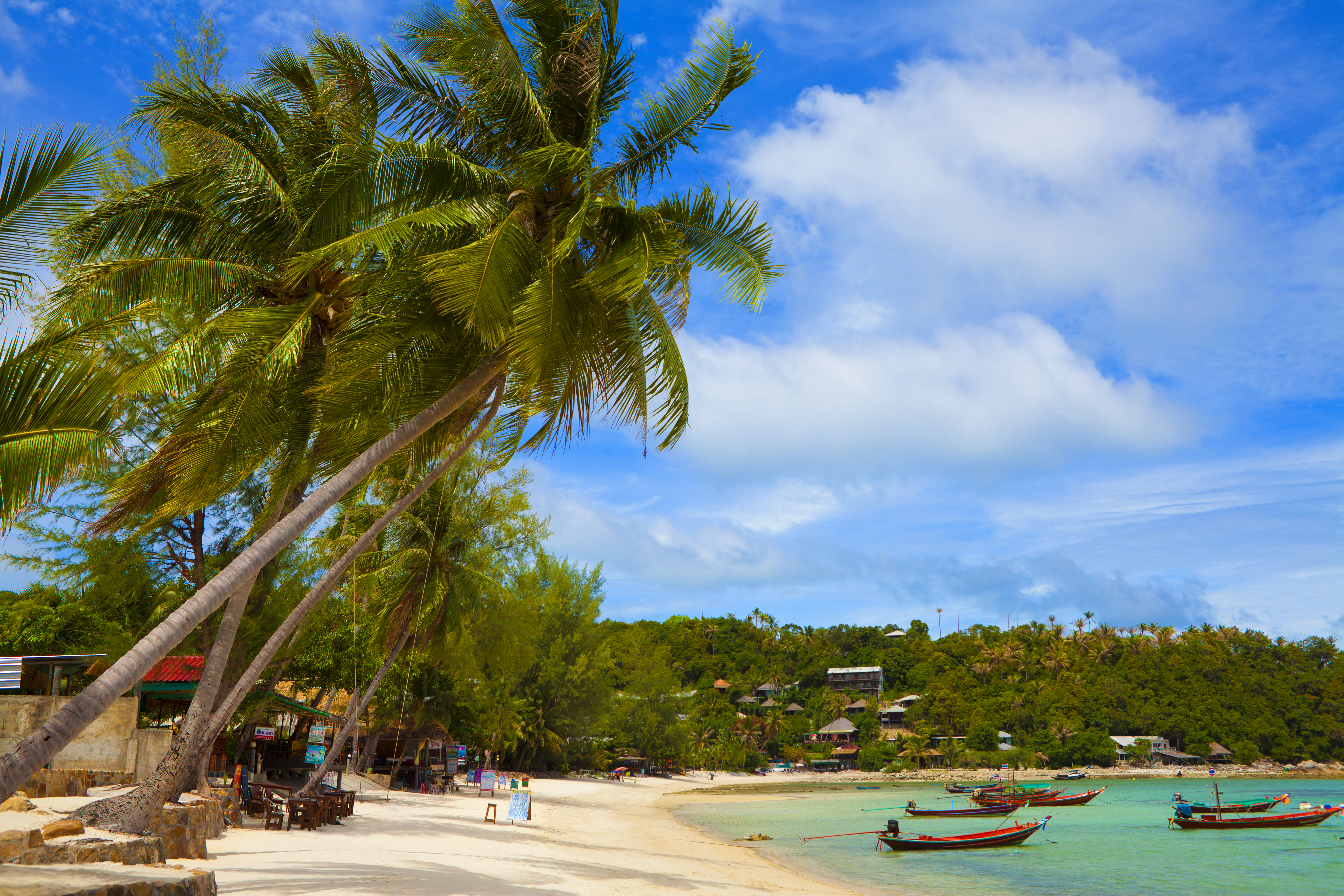 Pirate Bay beach in Ko Phangan Thailand. View on the ocean, white sand, palmtrees and turquoise sea.